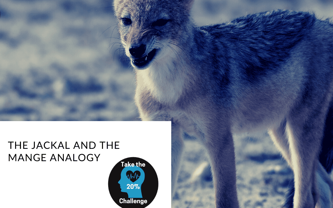 The Jackal and the Mange Analogy